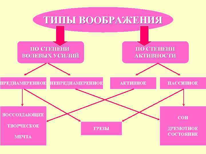 ТИПЫ ВООБРАЖЕНИЯ ПО СТЕПЕНИ ВОЛЕВЫХ УСИЛИЙ ПО СТЕПЕНИ АКТИВНОСТИ ПРЕДНАМЕРЕННОЕ НЕПРЕДНАМЕРЕННОЕ ВОССОЗДАЮЩЕЕ ТВОРЧЕСКОЕ МЕЧТА