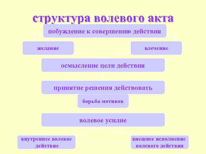 структура волевого акта побуждение к совершению действия желание влечение осмысление цели действия принятие решения