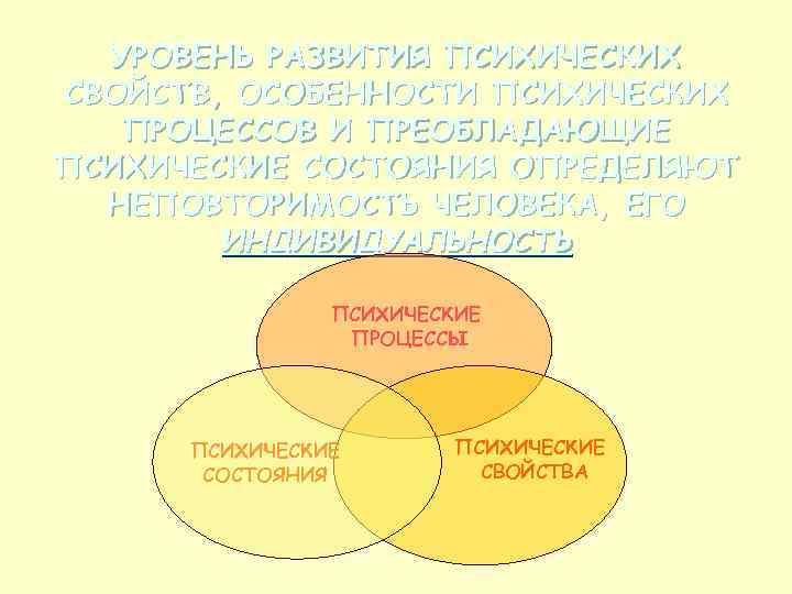 УРОВЕНЬ РАЗВИТИЯ ПСИХИЧЕСКИХ СВОЙСТВ, ОСОБЕННОСТИ ПСИХИЧЕСКИХ ПРОЦЕССОВ И ПРЕОБЛАДАЮЩИЕ ПСИХИЧЕСКИЕ СОСТОЯНИЯ ОПРЕДЕЛЯЮТ НЕПОВТОРИМОСТЬ ЧЕЛОВЕКА,