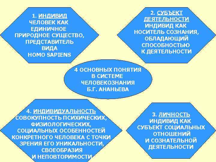 1. ИНДИВИД ЧЕЛОВЕК КАК ЕДИНИЧНОЕ ПРИРОДНОЕ СУЩЕСТВО, ПРЕДСТАВИТЕЛЬ ВИДА HOMO SAPIENS 2. СУБЪЕКТ ДЕЯТЕЛЬНОСТИ