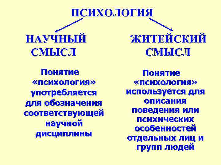 ПСИХОЛОГИЯ НАУЧНЫЙ СМЫСЛ Понятие «психология» употребляется для обозначения соответствующей научной дисциплины ЖИТЕЙСКИЙ СМЫСЛ Понятие