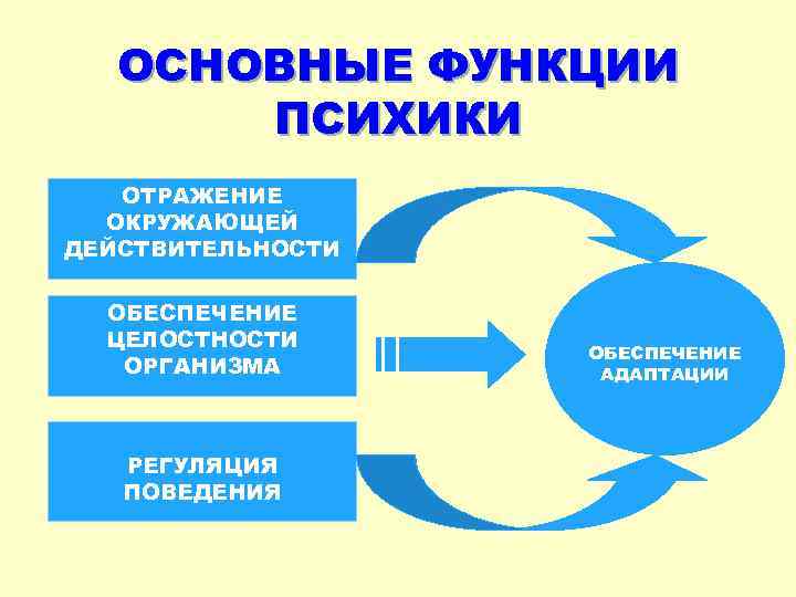 ОСНОВНЫЕ ФУНКЦИИ ПСИХИКИ ОТРАЖЕНИЕ ОКРУЖАЮЩЕЙ ДЕЙСТВИТЕЛЬНОСТИ ОБЕСПЕЧЕНИЕ ЦЕЛОСТНОСТИ ОРГАНИЗМА РЕГУЛЯЦИЯ ПОВЕДЕНИЯ ОБЕСПЕЧЕНИЕ АДАПТАЦИИ 