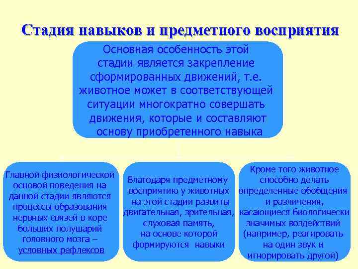 Стадия навыков и предметного восприятия Основная особенность этой стадии является закрепление сформированных движений, т.