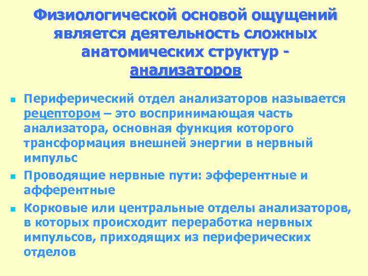 Физиологической основой ощущений является деятельность сложных анатомических структур анализаторов n n n Периферический отдел