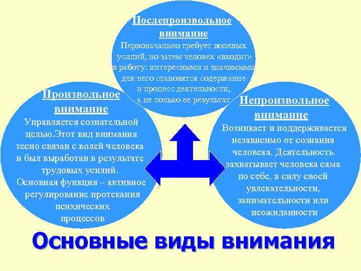 Послепроизвольное внимание Первоначально требует волевых усилий, но затем человек «входит» в работу: интересными и