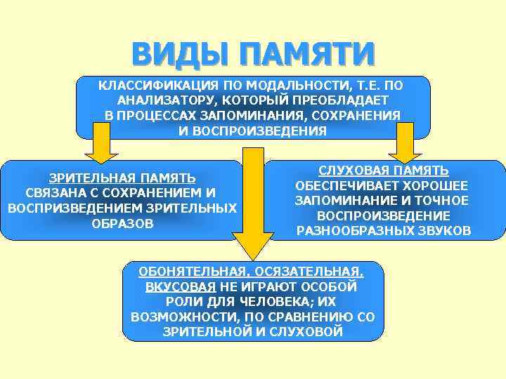 ВИДЫ ПАМЯТИ КЛАССИФИКАЦИЯ ПО МОДАЛЬНОСТИ, Т. Е. ПО АНАЛИЗАТОРУ, КОТОРЫЙ ПРЕОБЛАДАЕТ В ПРОЦЕССАХ ЗАПОМИНАНИЯ,