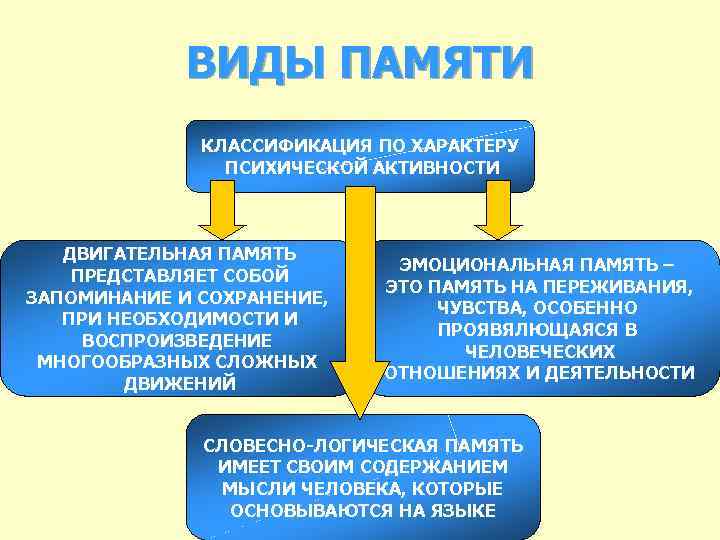 ВИДЫ ПАМЯТИ КЛАССИФИКАЦИЯ ПО ХАРАКТЕРУ ПСИХИЧЕСКОЙ АКТИВНОСТИ ДВИГАТЕЛЬНАЯ ПАМЯТЬ ПРЕДСТАВЛЯЕТ СОБОЙ ЗАПОМИНАНИЕ И СОХРАНЕНИЕ,