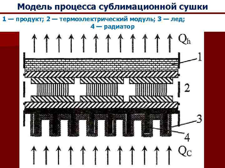 Модель процесса сублимационной сушки 1 — продукт; 2 — термоэлектрический модуль; 3 — лед;