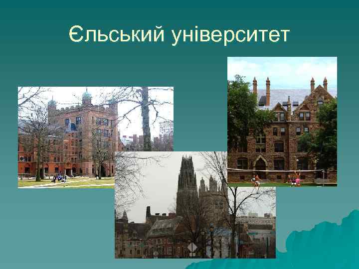 Єльський університет 