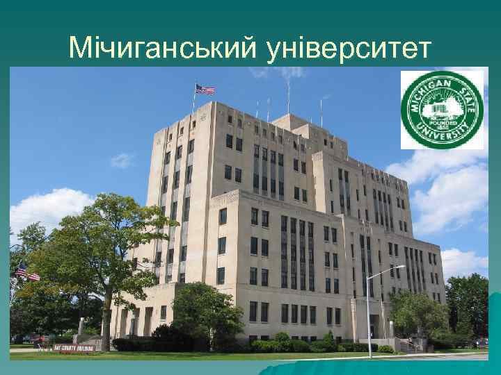 Мічиганський університет 