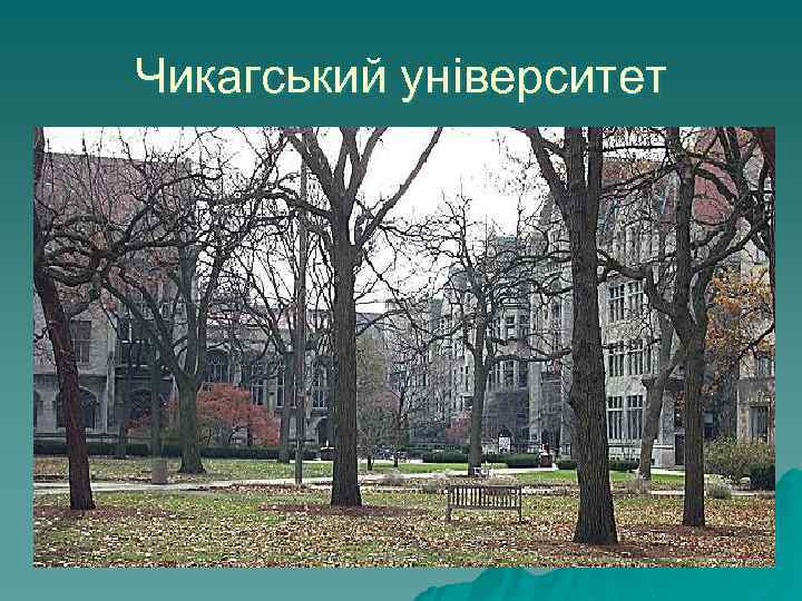 Чикагський університет 