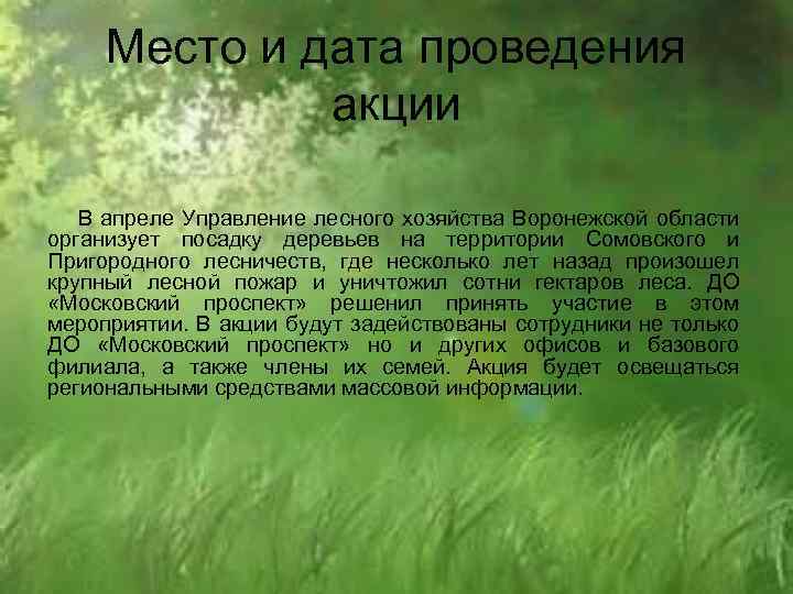 Место и дата проведения акции В апреле Управление лесного хозяйства Воронежской области организует посадку