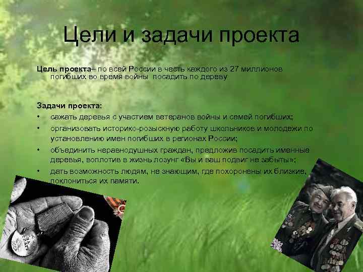 Цели и задачи проекта Цель проекта– по всей России в честь каждого из 27