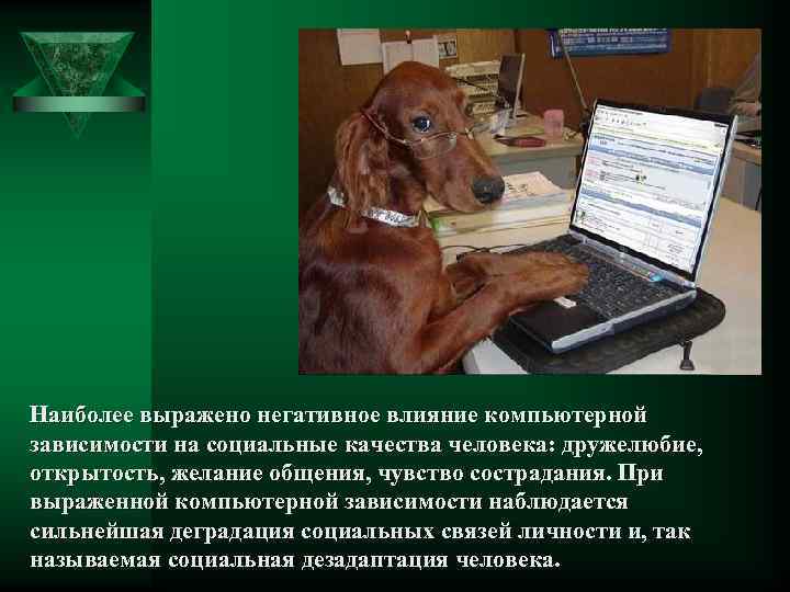 Наиболее выражено негативное влияние компьютерной зависимости на социальные качества человека: дружелюбие, открытость, желание общения,