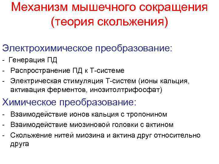 Механизм мышечного сокращения (теория скольжения) Электрохимическое преобразование: - Генерация ПД - Распространение ПД к