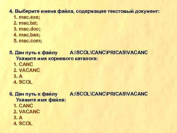 4. Выберите имена файла, содержащее текстовый документ: 1. mac. exe; 2. mac. txt; 3.