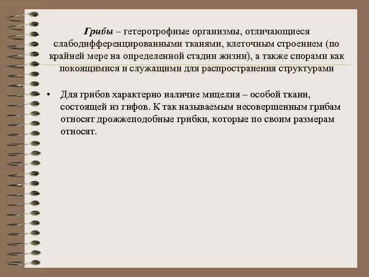 Грибы – гетеротрофные организмы, отличающиеся слабодифференцированными тканями, клеточным строением (по крайней мере на определенной