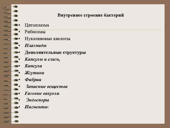 Внутреннее строение бактерий • • • • Цитоплазма Рибосомы Нуклеиновые кислоты Плазмиды Дополнительные структуры