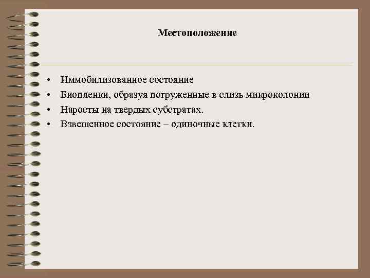 Местоположение • • Иммобилизованное состояние Биопленки, образуя погруженные в слизь микроколонии Наросты на твердых