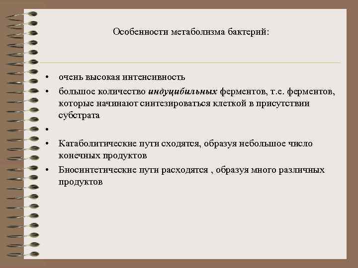 Особенности метаболизма бактерий: • очень высокая интенсивность • большое количество индуцибильных ферментов, т. е.