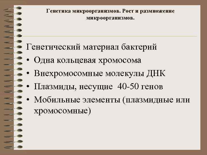 Генетика микроорганизмов. Рост и размножение микроорганизмов. Генетический материал бактерий • Одна кольцевая хромосома •