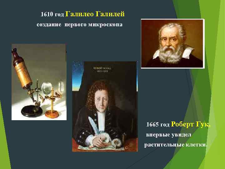 1610 год Галилео Галилей создание первого микроскопа 1665 год Роберт Гук, впервые увидел растительные