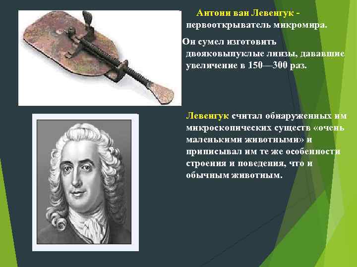 Антони ван Левенгук первооткрыватель микромира. Он сумел изготовить двояковыпуклые линзы, дававшие увеличение в 150—