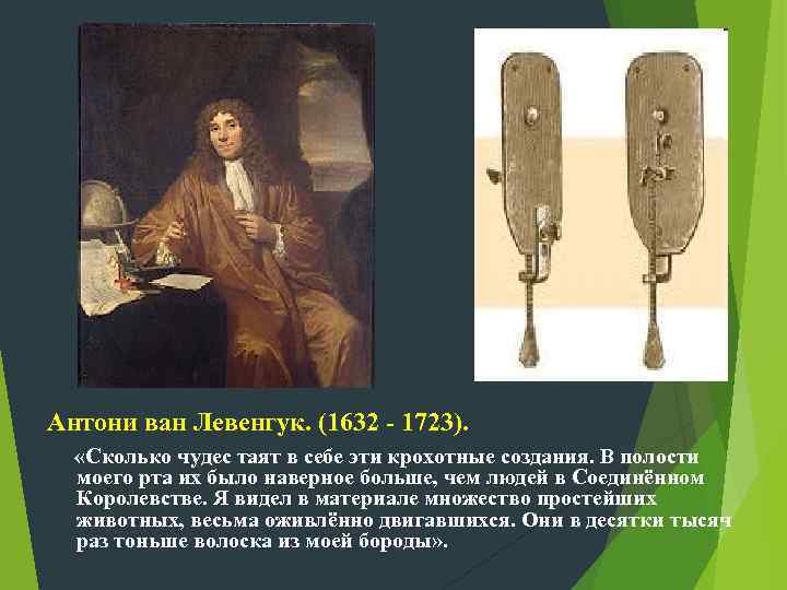 Антони ван Левенгук. (1632 - 1723). «Сколько чудес таят в себе эти крохотные создания.