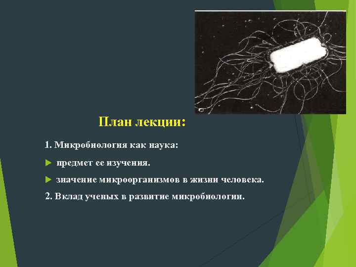 План лекции: 1. Микробиология как наука: предмет ее изучения. значение микроорганизмов в жизни человека.