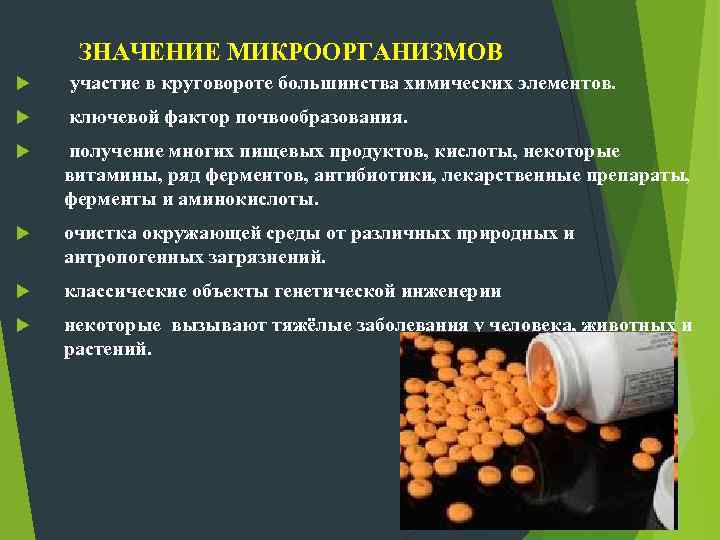 ЗНАЧЕНИЕ МИКРООРГАНИЗМОВ участие в круговороте большинства химических элементов. ключевой фактор почвообразования. получение многих пищевых