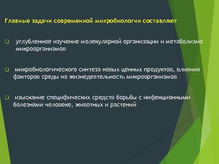 Главные задачи современной микробиологии составляют q углубленное изучение молекулярной организации и метаболизма микроорганизмов q
