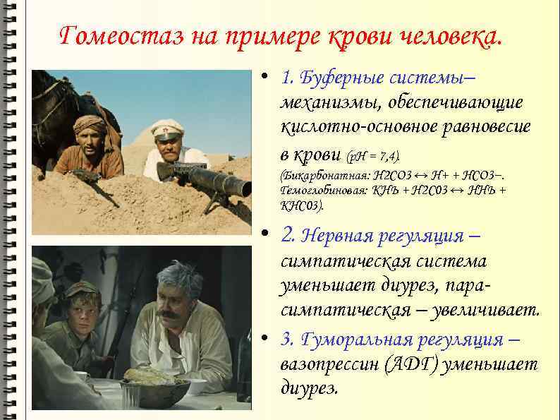 Гомеостаз на примере крови человека. • 1. Буферные системы– механизмы, обеспечивающие кислотно-основное равновесие в