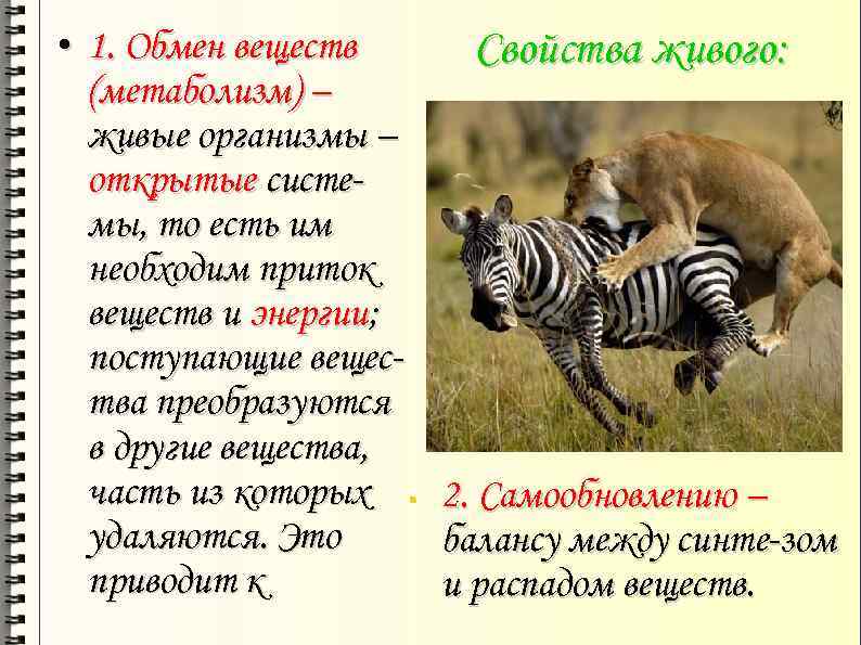  • 1. Обмен веществ (метаболизм) – живые организмы – открытые системы, то есть