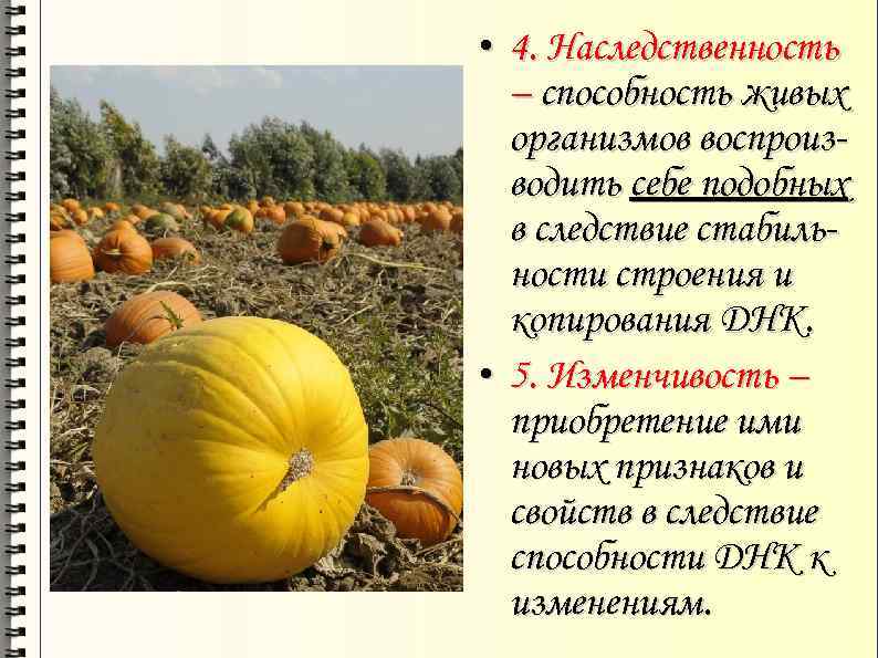  • 4. Наследственность – способность живых организмов воспроизводить себе подобных в следствие стабильности