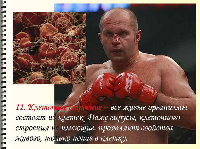 11. Клеточное строение – все живые организмы состоят из клеток Даже вирусы, клеточного строения