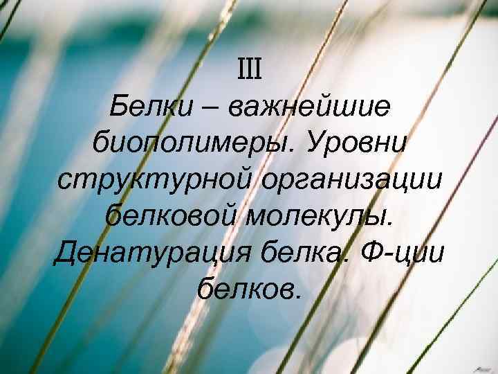 III Белки – важнейшие биополимеры. Уровни структурной организации белковой молекулы. Денатурация белка. Ф-ции белков.