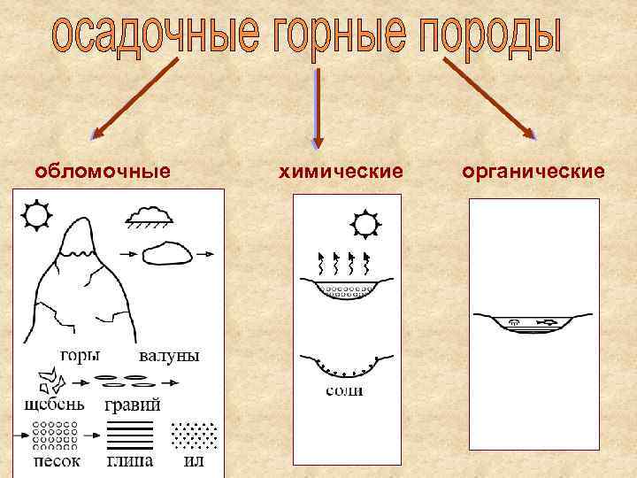 обломочные химические органические 12 
