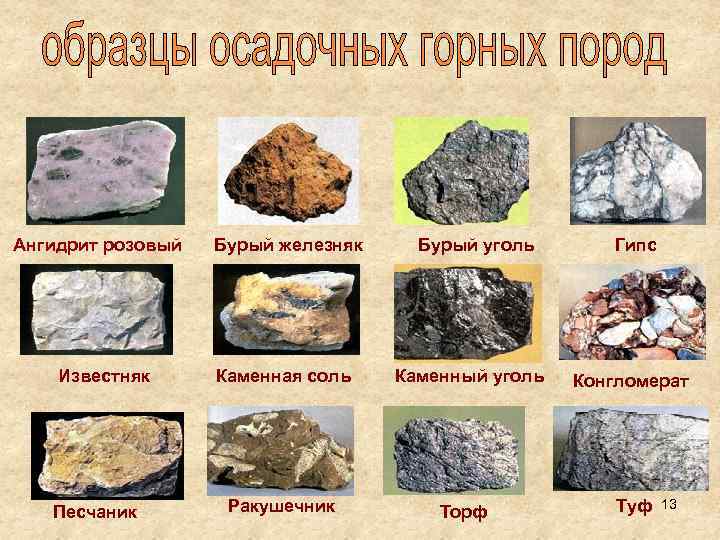 Какой группе горных пород относится мрамор. Каменный уголь Горная порода. Образцы горных пород. К осадочным горным породам относятся.