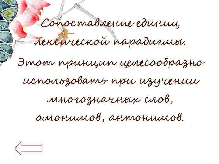 Сопоставление единиц лексической парадигмы. Этот принцип целесообразно использовать при изучении многозначных слов, омонимов, антонимов.