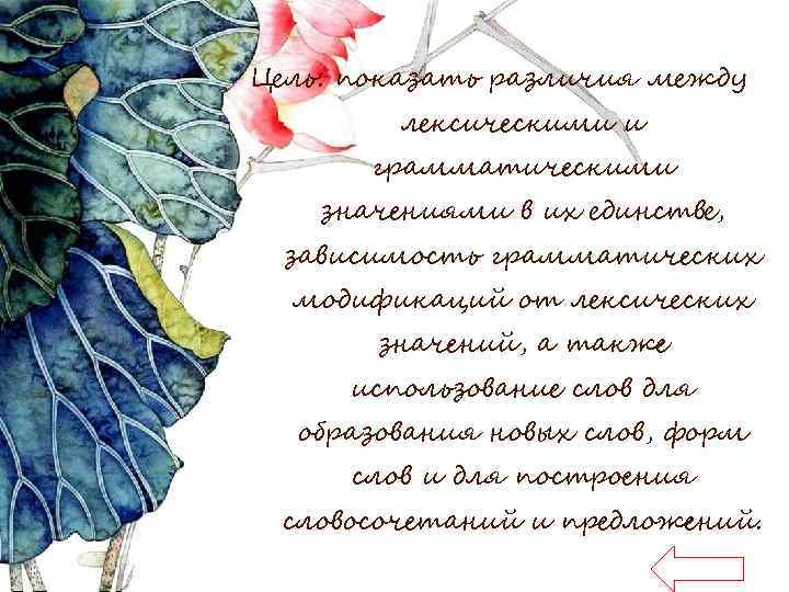Цель: показать различия между лексическими и грамматическими значениями в их единстве, зависимость грамматических модификаций