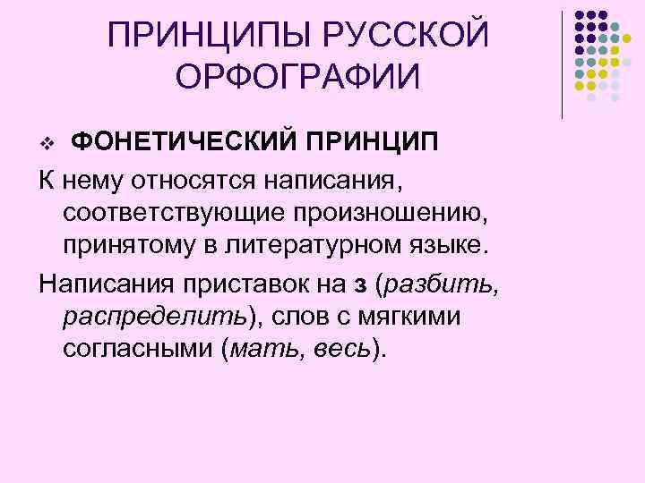 Принципы русской орфографии проект