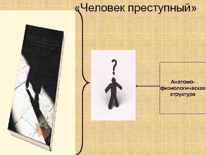  «Человек преступный» Анатомофизиологическая структура 