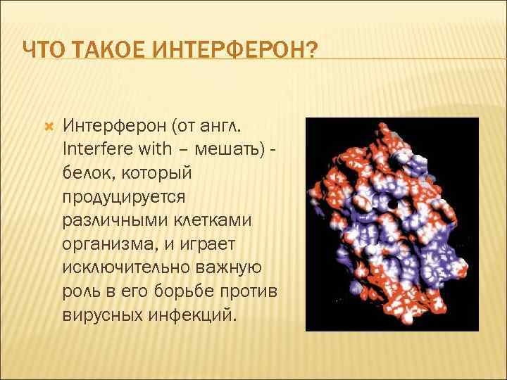 ЧТО ТАКОЕ ИНТЕРФЕРОН? Интерферон (от англ. Interfere with – мешать) белок, который продуцируется различными