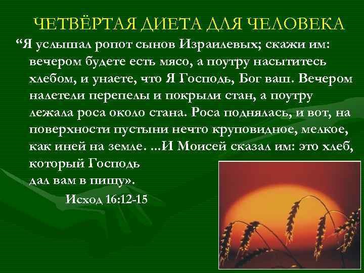 ЧЕТВЁРТАЯ ДИЕТА ДЛЯ ЧЕЛОВЕКА “Я услышал ропот сынов Израилевых; скажи им: вечером будете есть