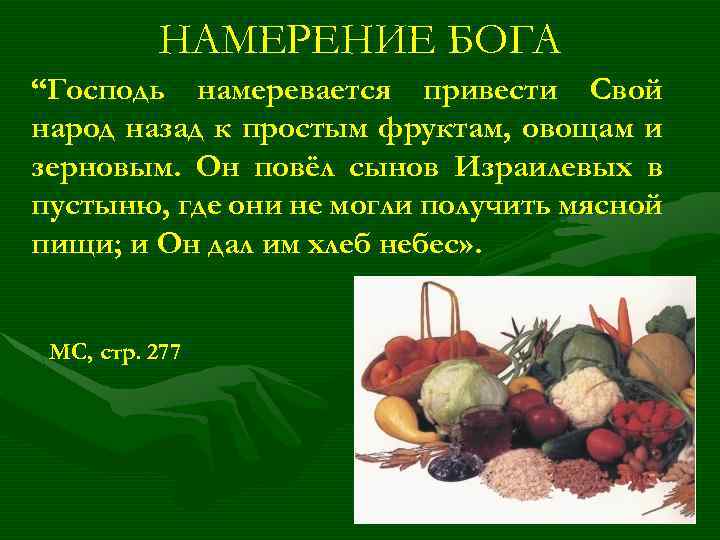 НАМЕРЕНИЕ БОГА “Господь намеревается привести Свой народ назад к простым фруктам, овощам и зерновым.