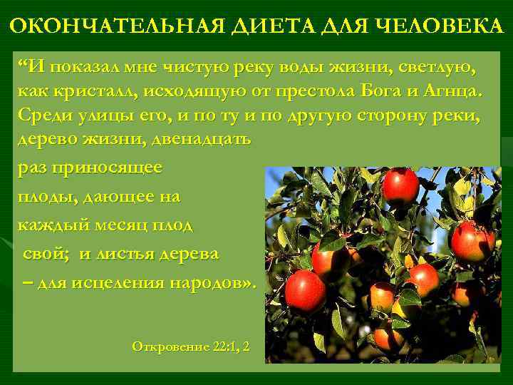 ОКОНЧАТЕЛЬНАЯ ДИЕТА ДЛЯ ЧЕЛОВЕКА “И показал мне чистую реку воды жизни, светлую, как кристалл,