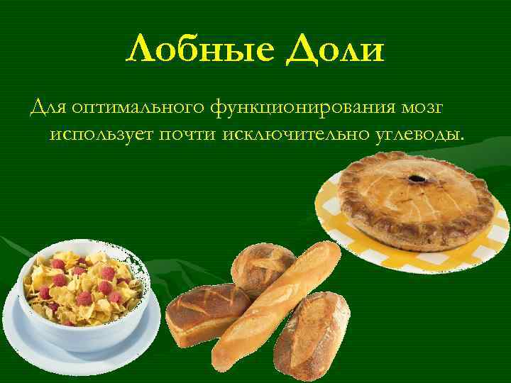 Лобные Доли Для оптимального функционирования мозг использует почти исключительно углеводы. 