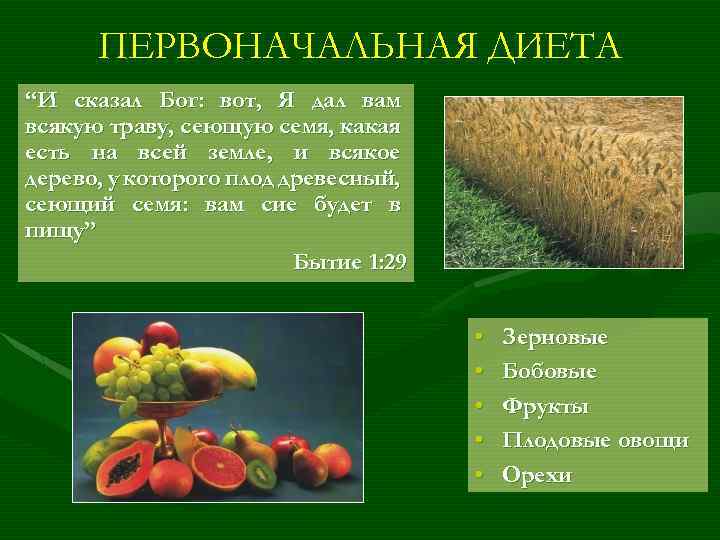 ПЕРВОНАЧАЛЬНАЯ ДИЕТА “И сказал Бог: вот, Я дал вам всякую траву, сеющую семя, какая