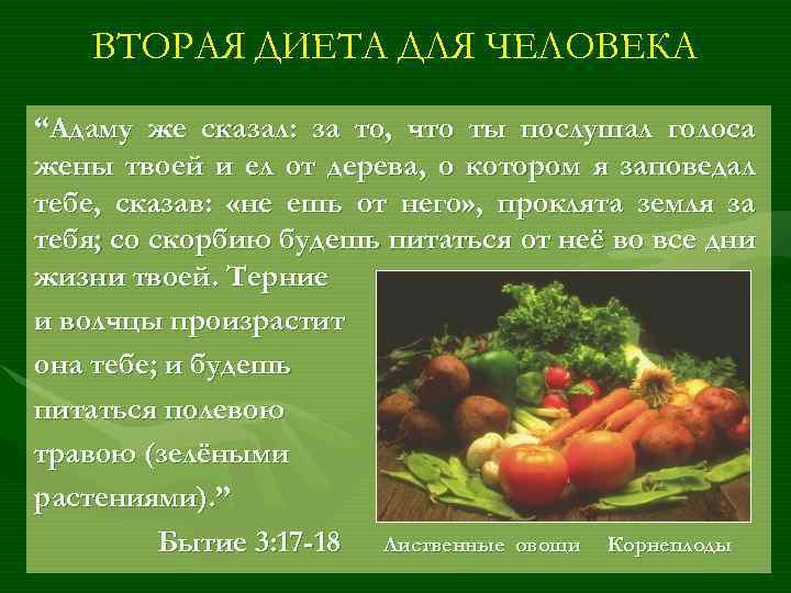 ВТОРАЯ ДИЕТА ДЛЯ ЧЕЛОВЕКА “Адаму же сказал: за то, что ты послушал голоса жены