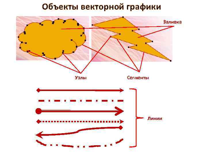 Объекты векторной графики Заливка Узлы Сегменты Линии 